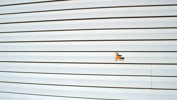 Best Residential Vinyl Siding Installation  in Fayette, AL