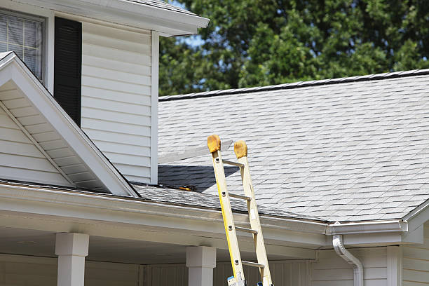 Affordable siding repair and maintenance services in Fayette, AL